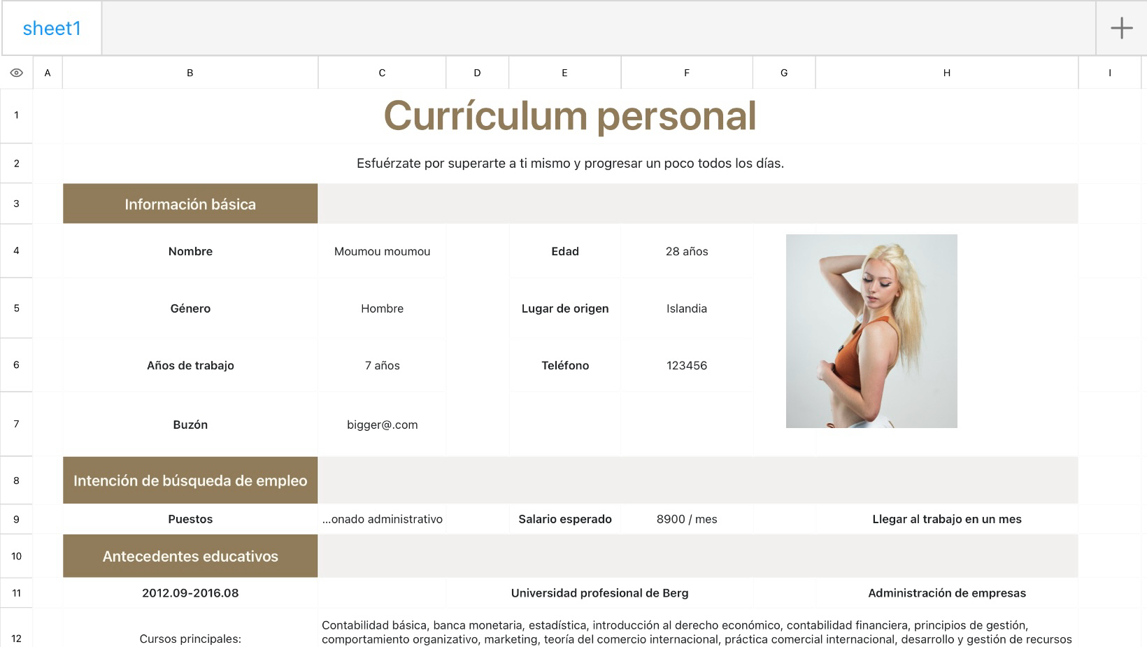 Currículum del Comisionado administrativo